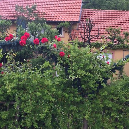 Apartman Lili Cetinje Luaran gambar