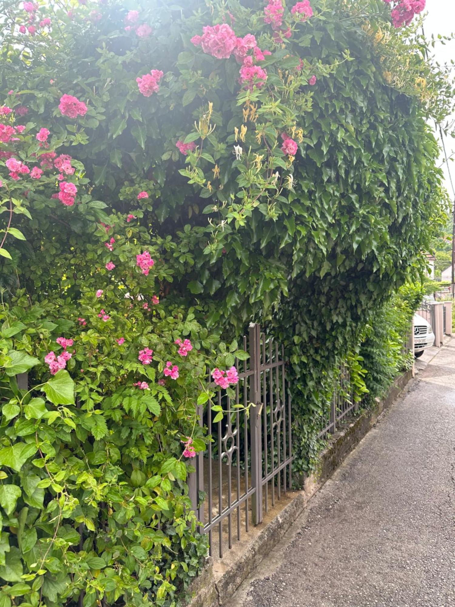 Apartman Lili Cetinje Luaran gambar