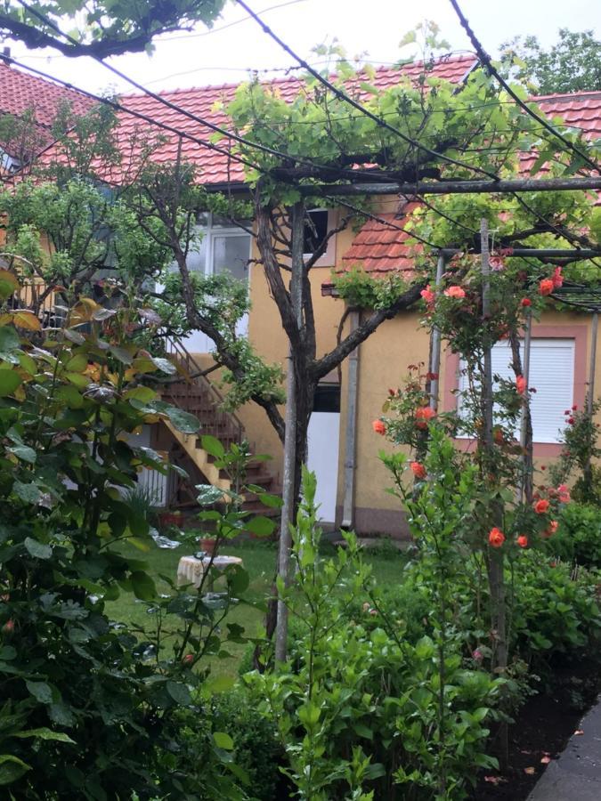Apartman Lili Cetinje Luaran gambar